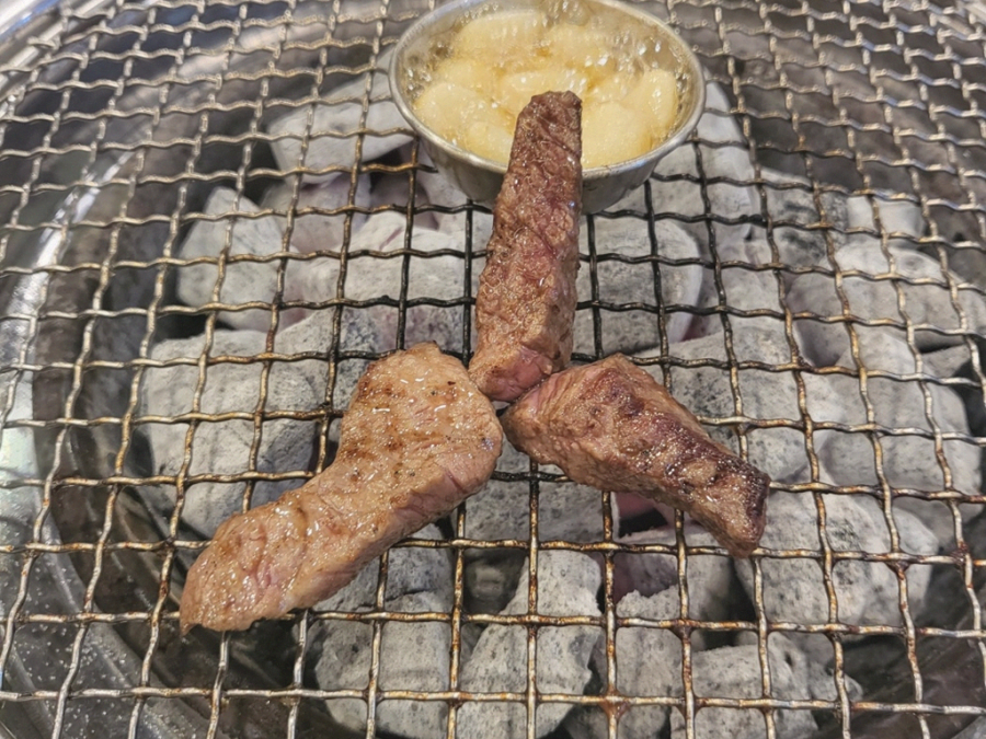 진초원 이미지