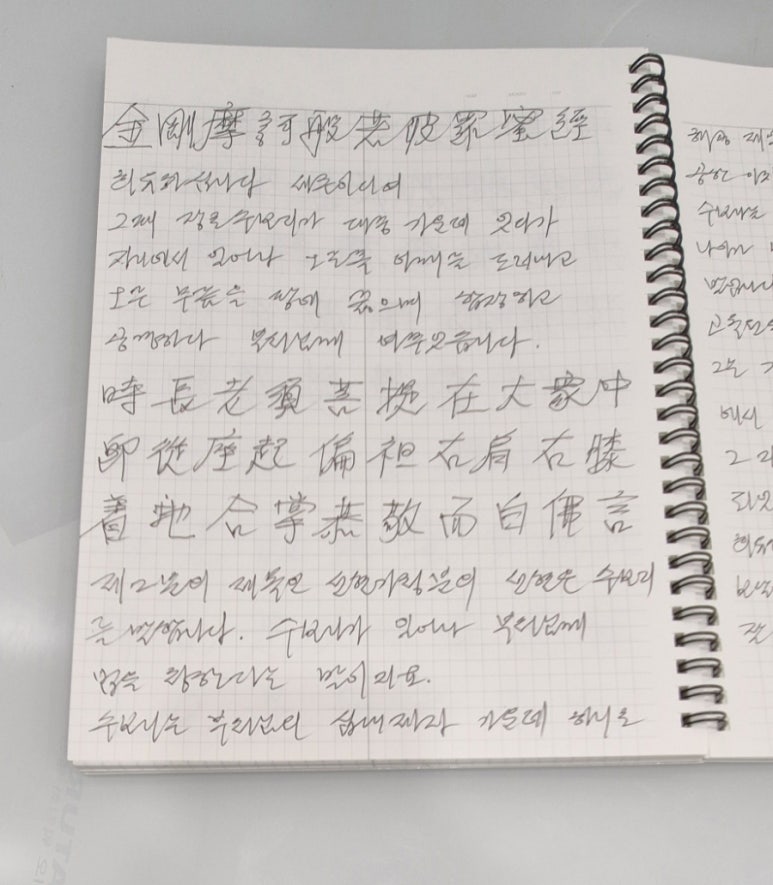 수보리 이미지
