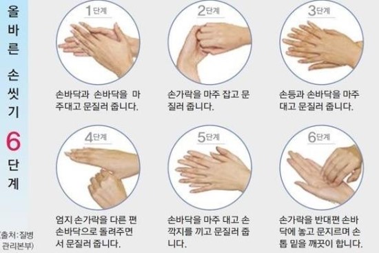 싱싱나라 이미지