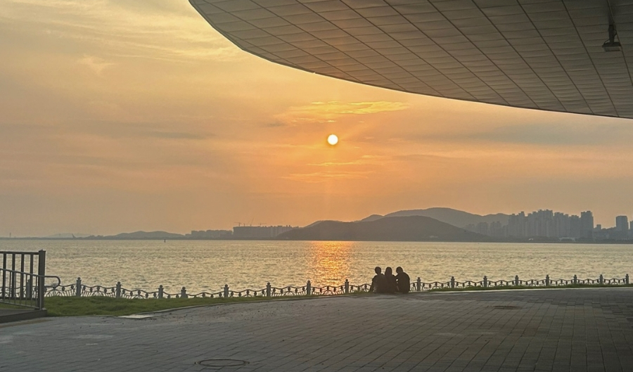 호남완도마구잡이 이미지
