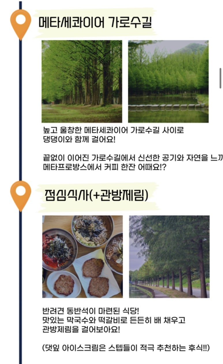 혜성관광 이미지