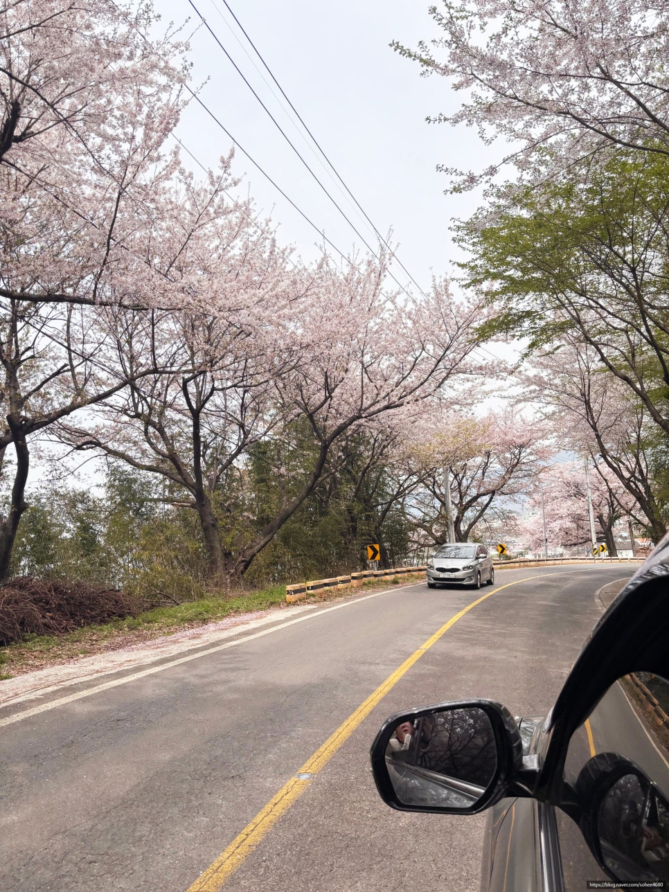 서진이네건어물 이미지