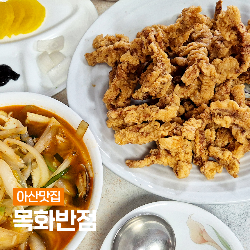 목화반점 이미지