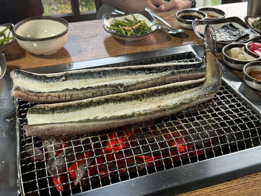 의픔장어 이미지