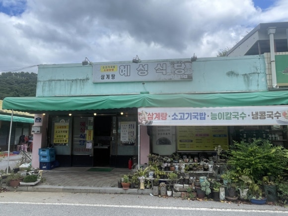 혜성식당 이미지