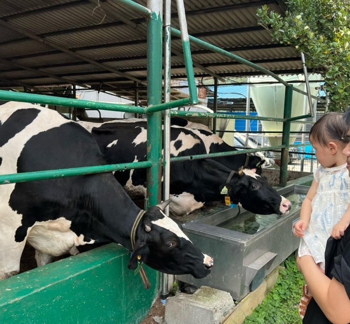 후사랑밀크(환희목장) 이미지