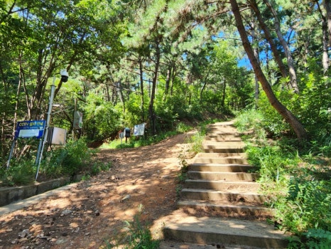코끼리한식뷔페 이미지