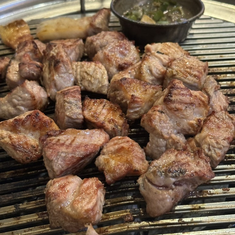 이모네꽃돼지 사진 7