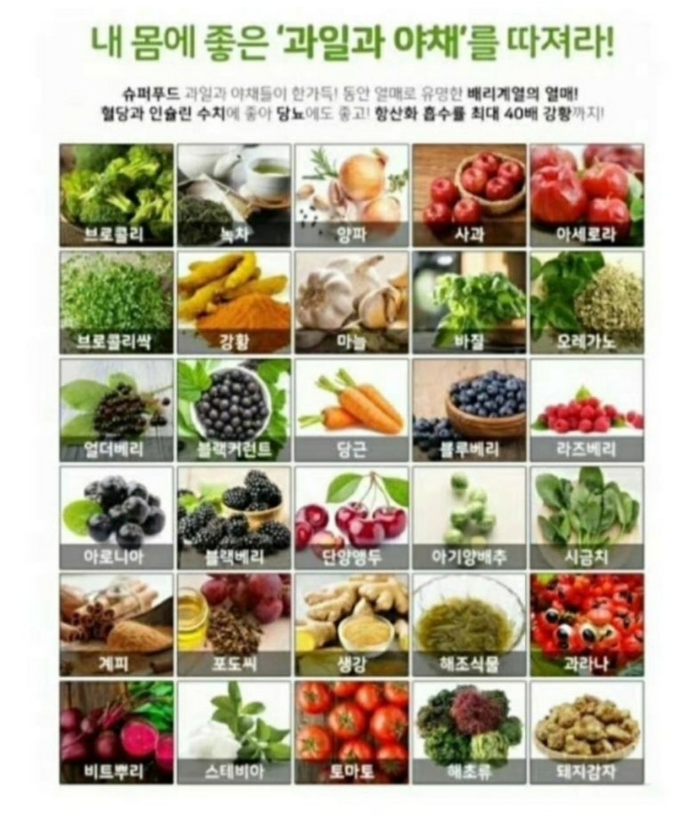 솔직푸드 이미지