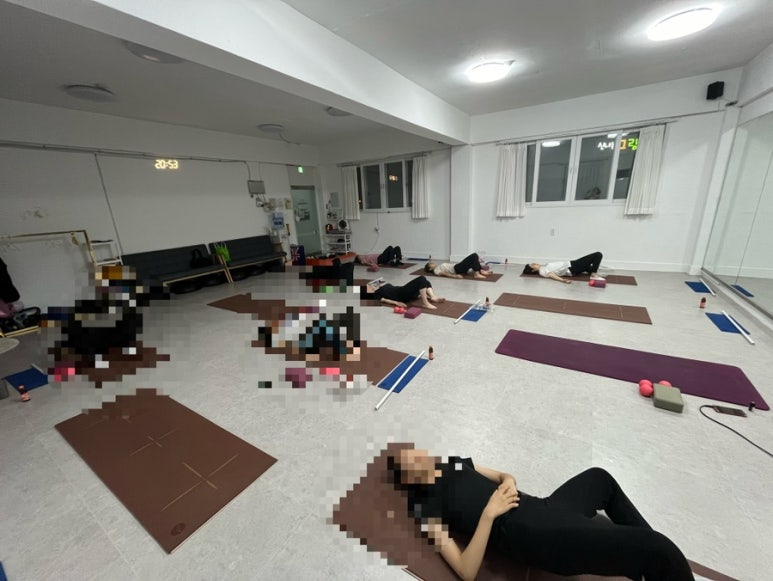 채니핏 이미지