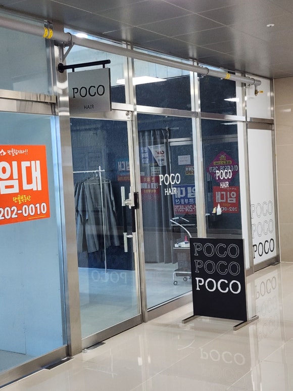 포코헤어 이미지