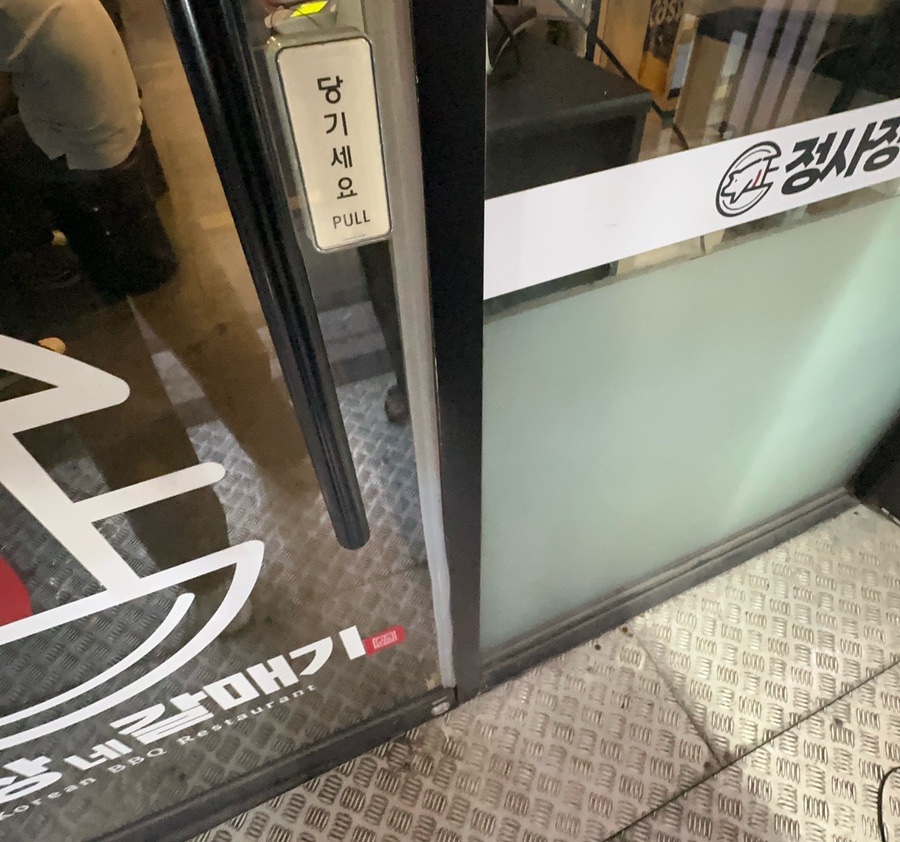 정사장네갈매기 이미지