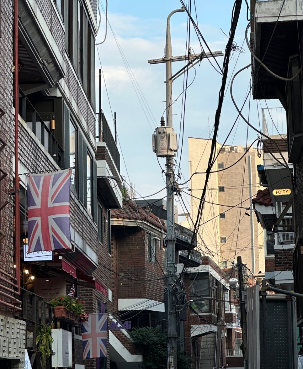 오스테리아로에로 이미지