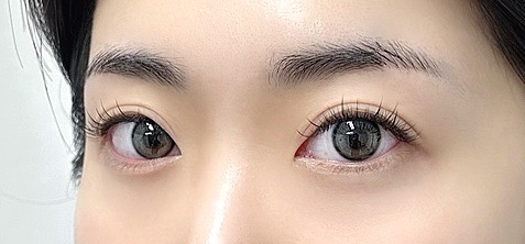 위스피 이미지