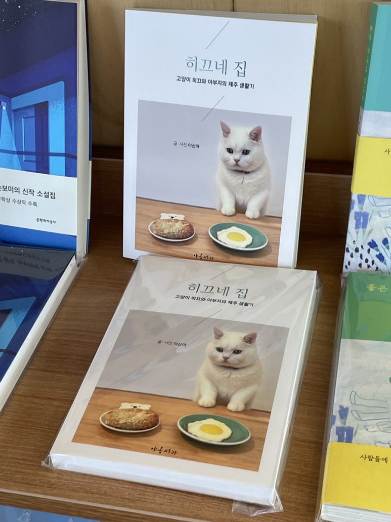 마즐리스책방 이미지