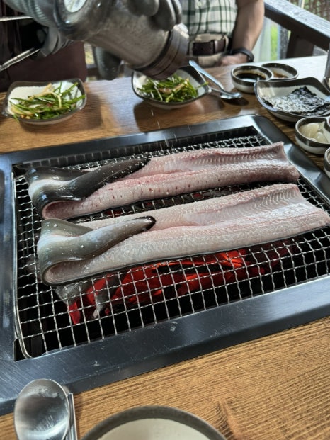 의픔장어 이미지