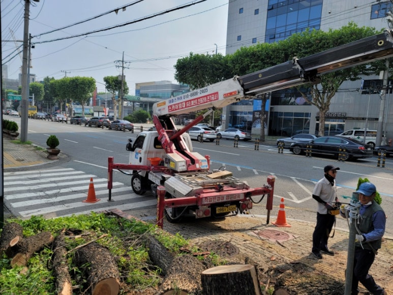 수성슈퍼 이미지