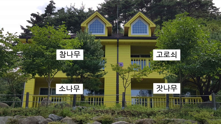 국립검봉산자연휴양림 이미지
