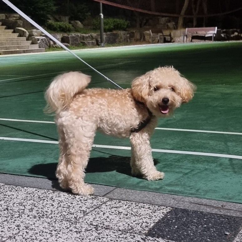 빙동댕 용인수지점 이미지
