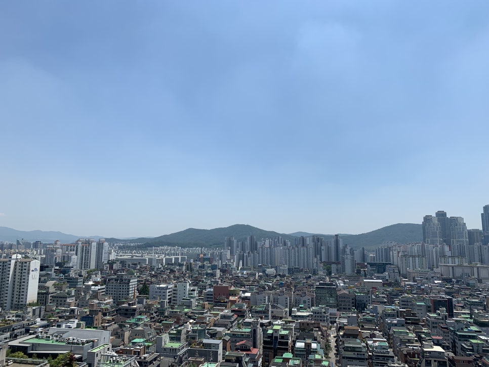 로이세무회계 이미지