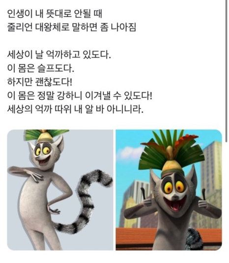 마움 이미지