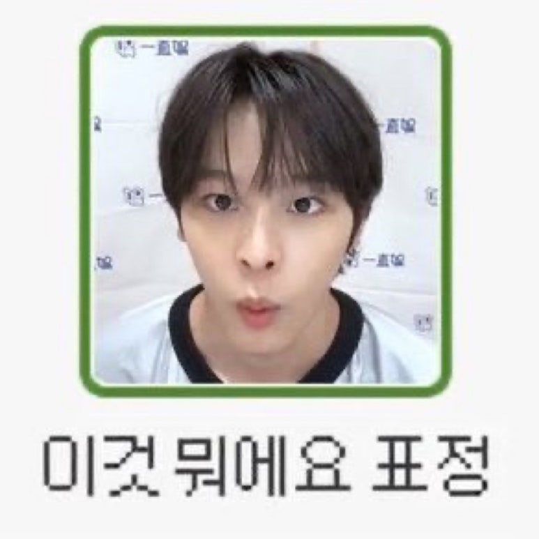 포카포카 이미지