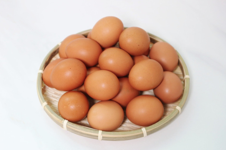 인재교육원식당 이미지