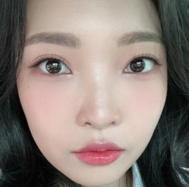 팔레트포레 이미지