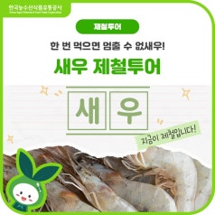고단백 저지방! 한 번 까면 멈출 수 없는 🦐새우🍤 제철투어 바로가기