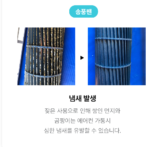 진영의류 이미지