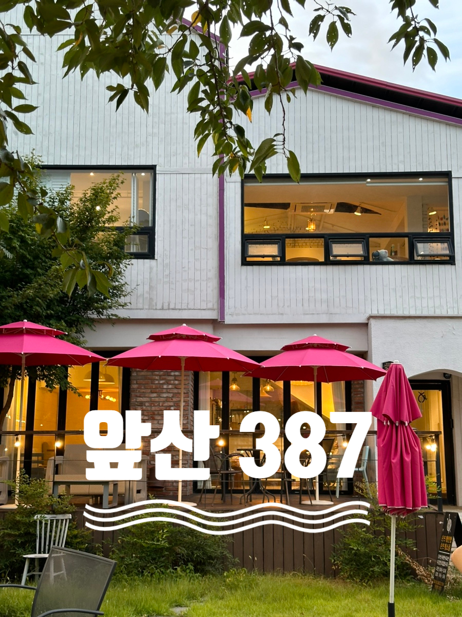 앞산387 이미지
