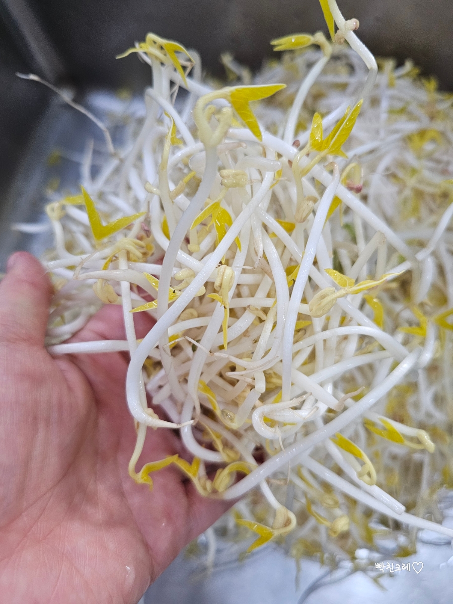 백아한방병원 이미지