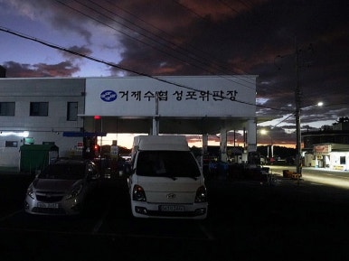 막썰어회센터 이미지