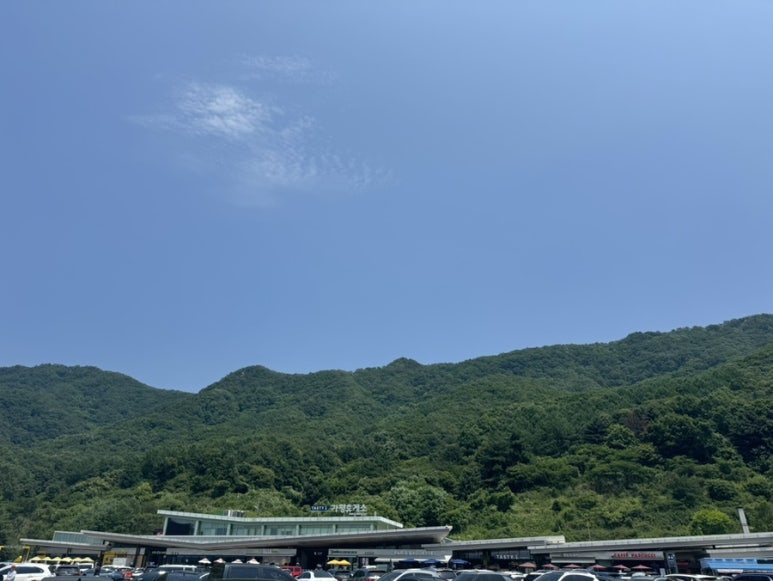 더씨194 이미지