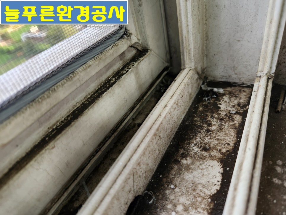 늘푸른환경청소 이미지