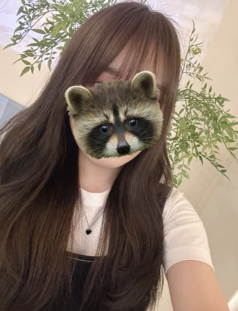 모쉬(MOSH) 이미지
