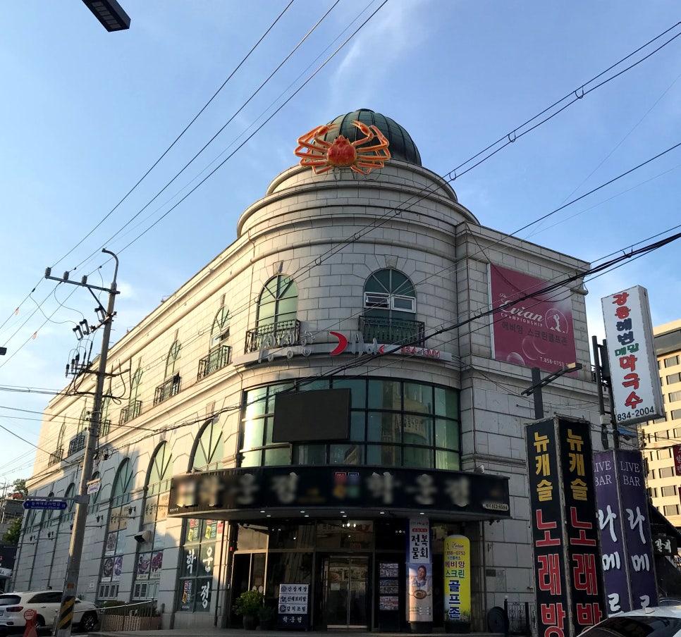 싱싱한게야 이미지