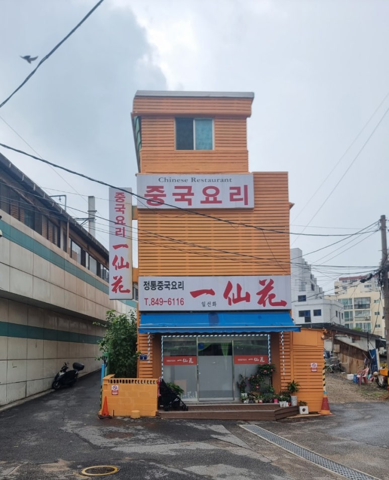 일선화 이미지