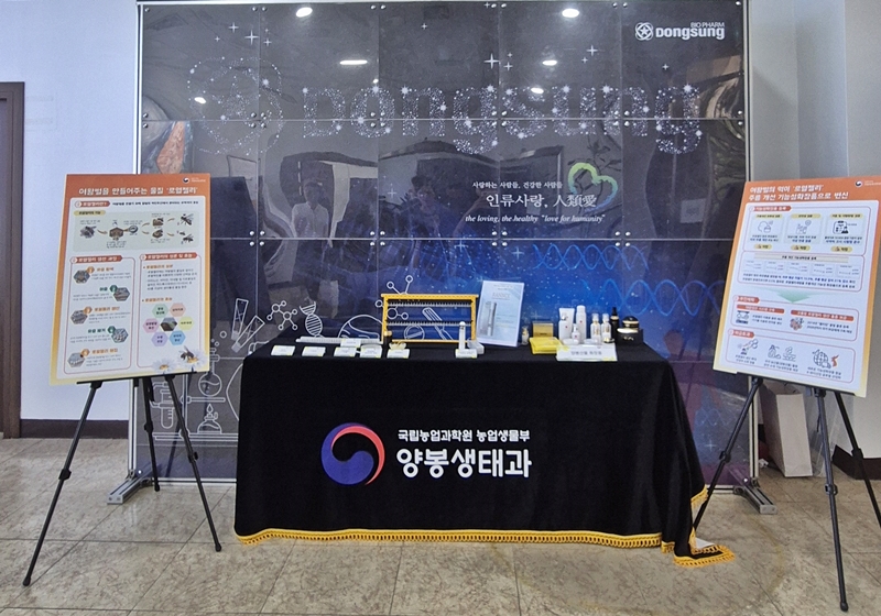 동성개발 이미지