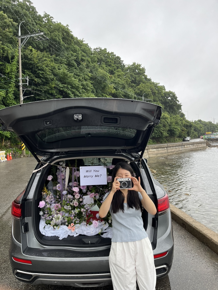헤쎄드플라라 이미지