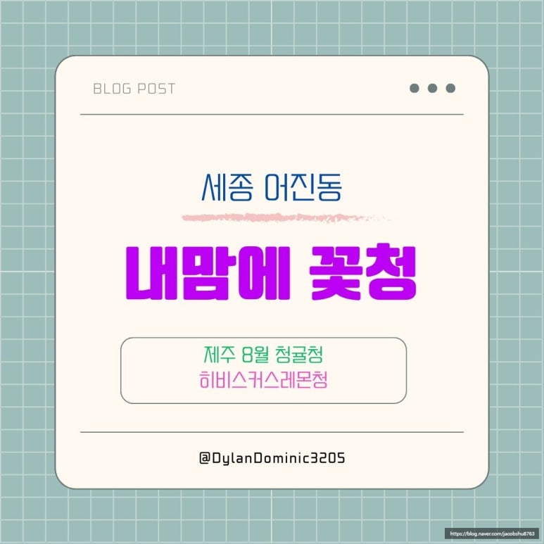 내맘에 꽃청 이미지