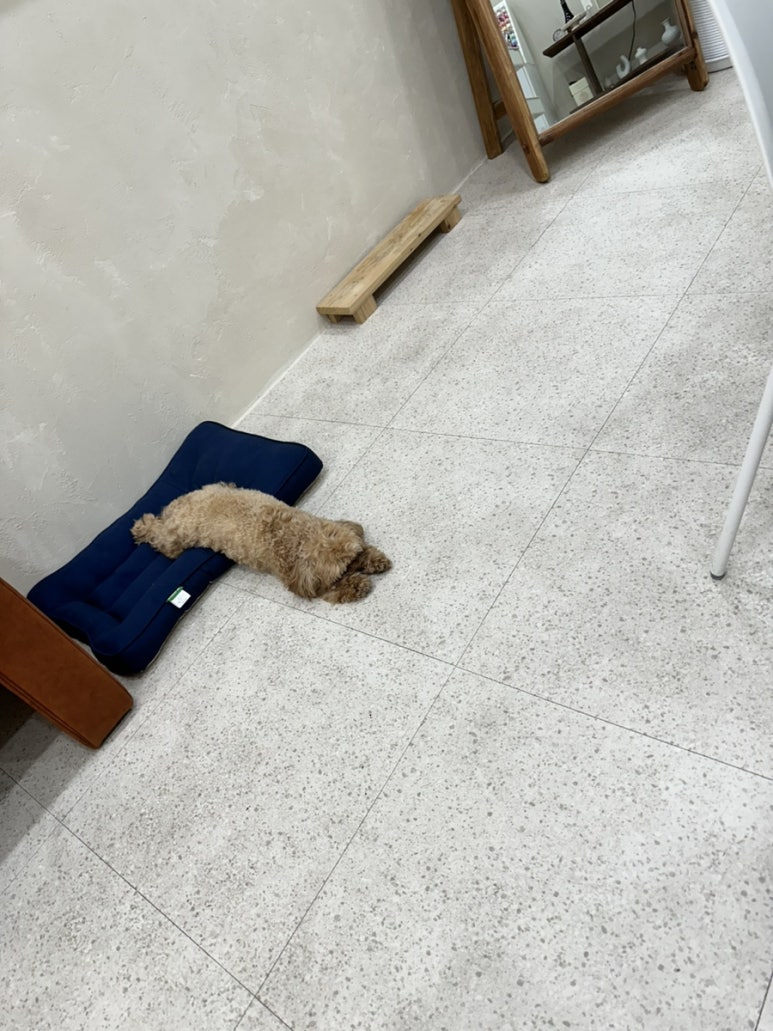 네일엔무드 이미지