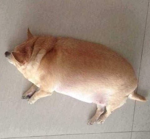 커피910 이미지