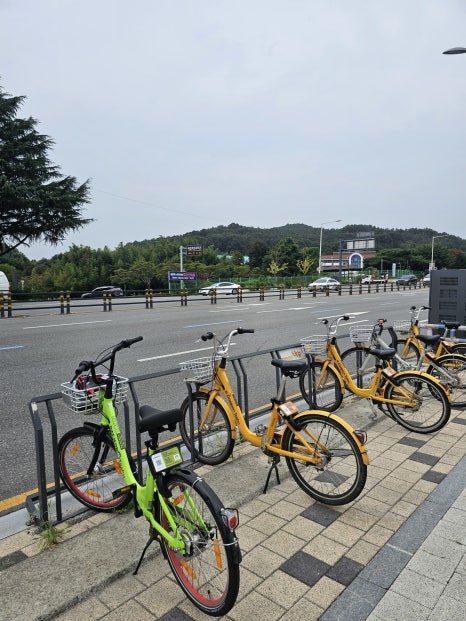 타보자GO 이미지