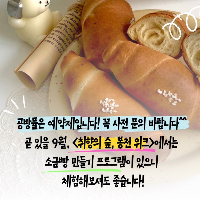 공방뮬 이미지