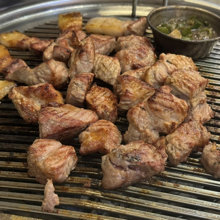 이모네꽃돼지 사진 6