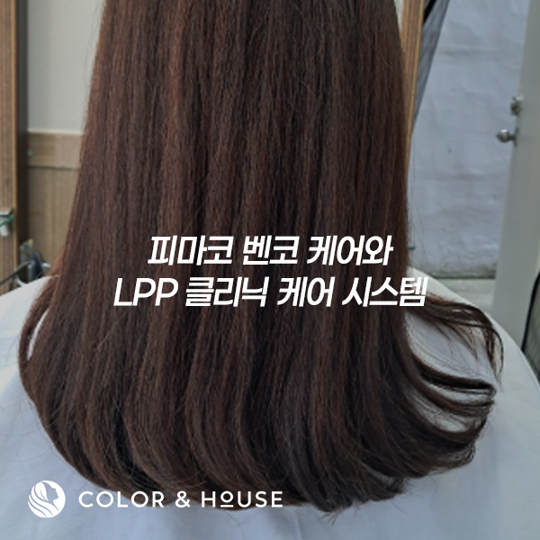 컬러앤하우스 부천소사점 이미지