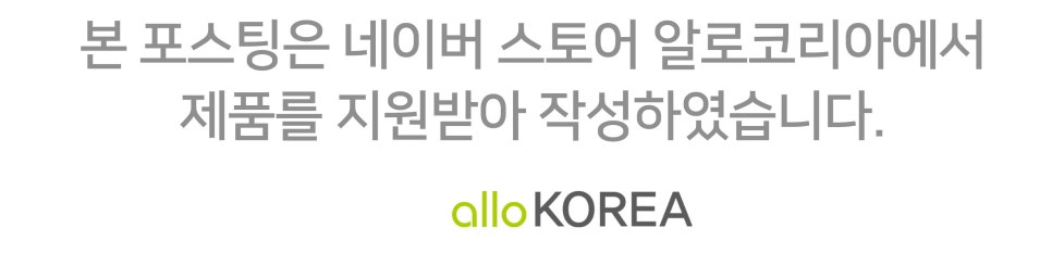 알로코리아 무선 고속충전 보조배터리 10000mAh 1005WPD 리뷰 "애플 악세서리 전용 충전기로 사용하다" 이미지 17