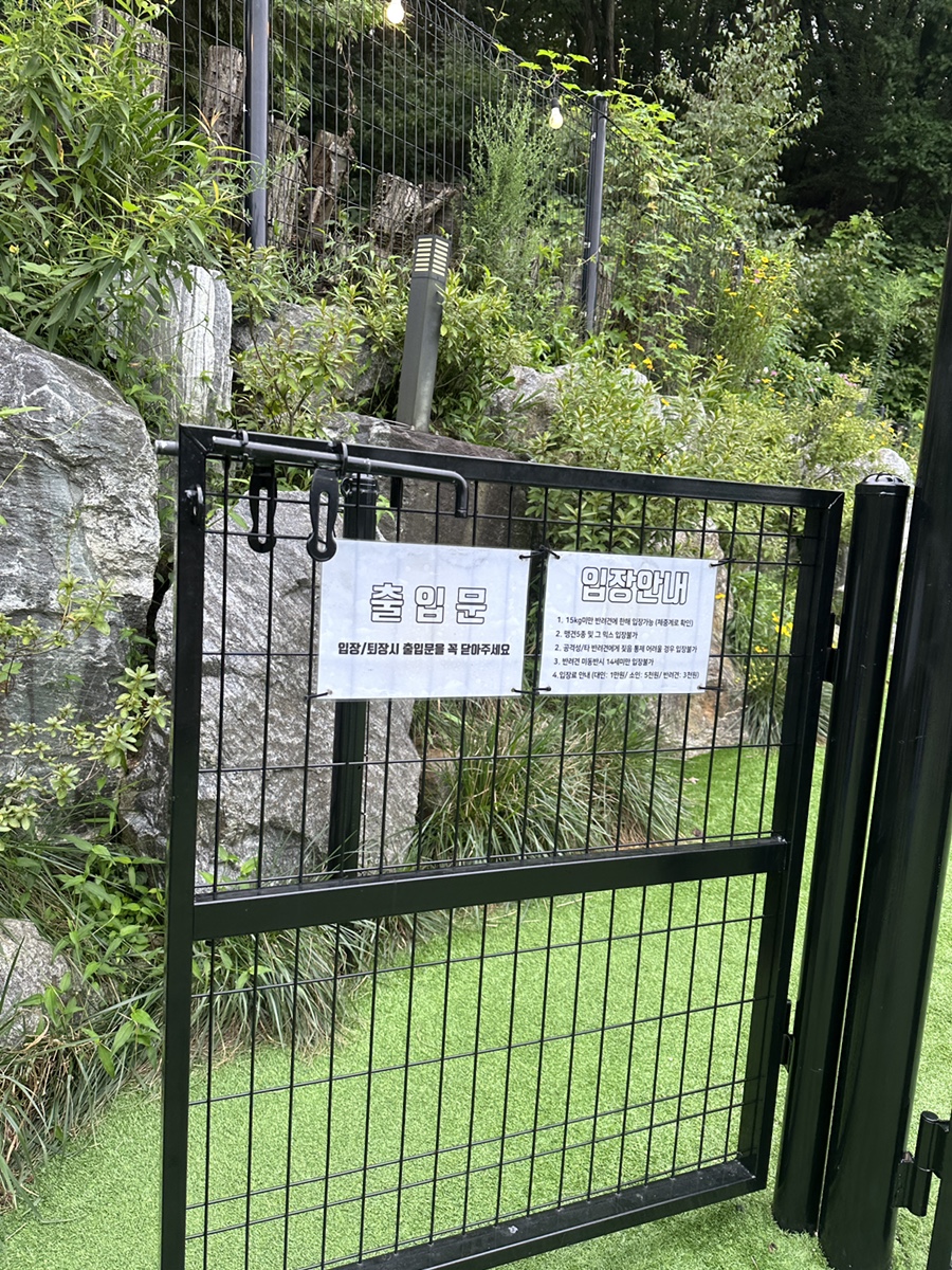 용인 별똥구리 애견운동장 재방문 후기 및 꿀팁 — 사진 3