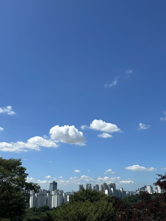용식이네한강포차 상갈점 이미지